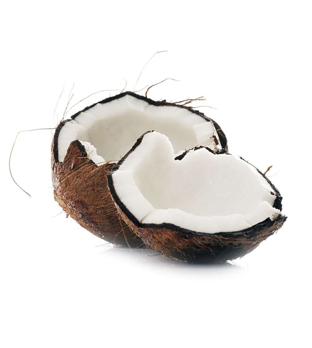 Coco de agua