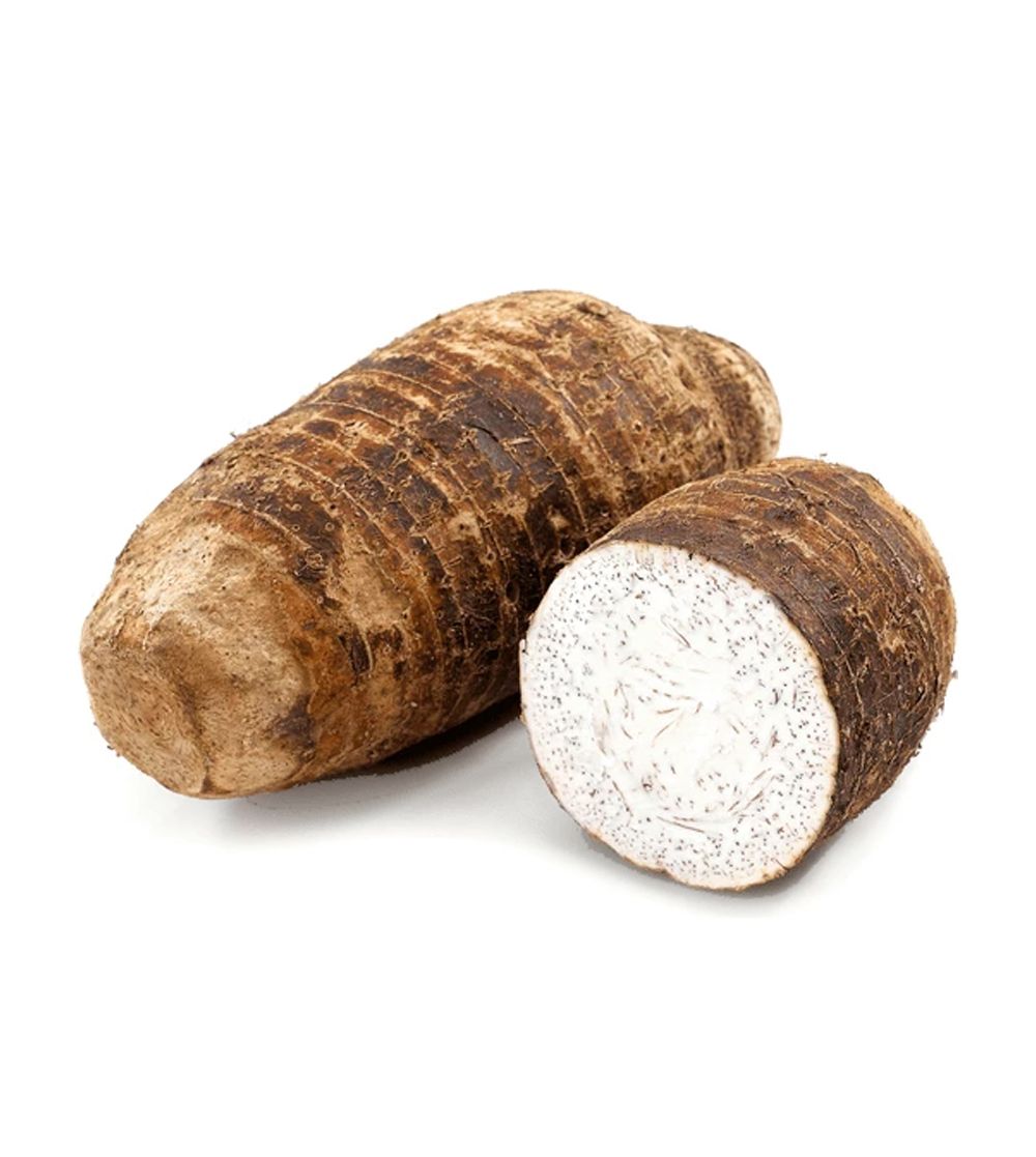 Malanga