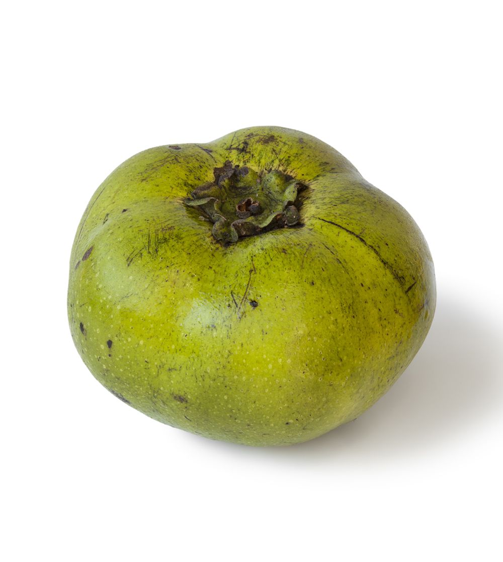 Zapote negro